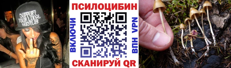 Галлюциногенные грибы ЛСД Камбарка